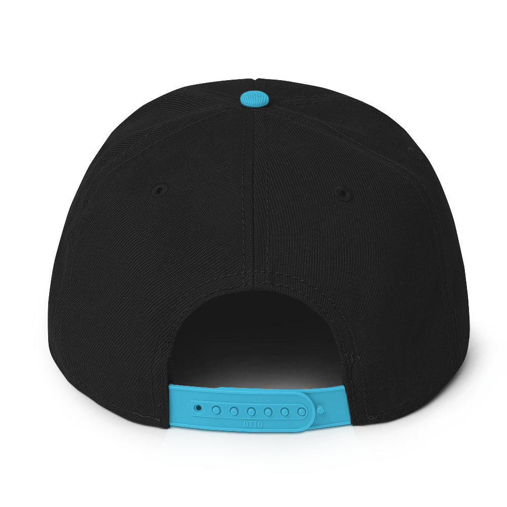 4Billionaires Snapback